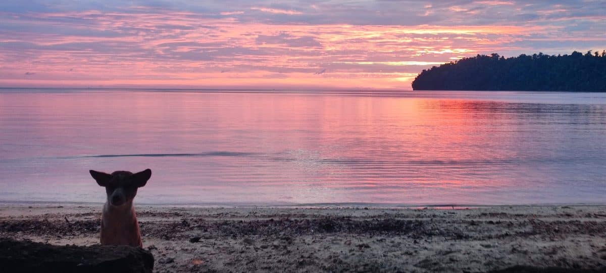 Reportage photo en Sulawesi, Indonésie