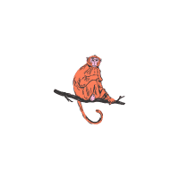 Destination Pays Minahasa, nord Sulawesi : Que visiter à Tomohon ?