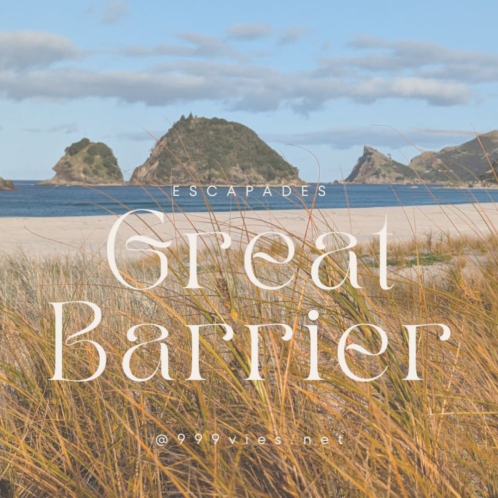Zoom sur l'herbe dorée au coucher du soleil, avec plage et péninsule floues en arrière-plan, illustrant une escapade sauvage à la Grande Barrière