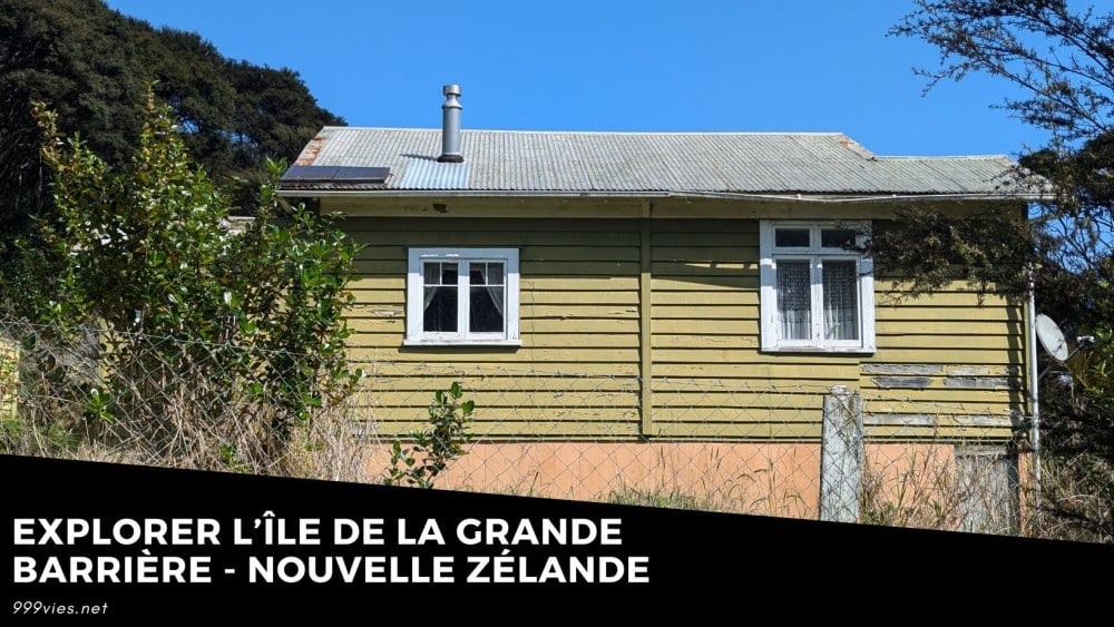 Maison dorée avec petites fenêtres sur fond bleu, représentant l'architecture traditionnelle de l'île de la Grande Barrière en Nouvelle-Zélande