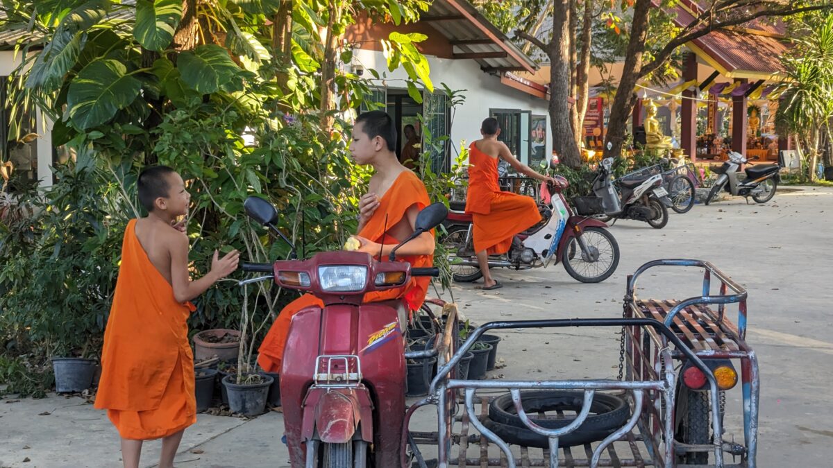 Enfants sur un scooter près d’un centre de retraite Vipassana à Chiang Maï, Thaïlande. Scène de vie locale