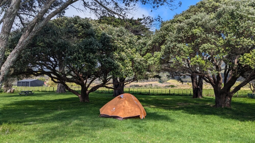 Photo d'un paysage de l'île de la Grande Barrière, avec une tente orange au camping sous un arbre