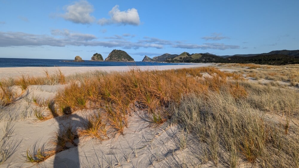 Photo d'un paysage de plage sur la Grande Barrière de Nouvelle-Zélande, avec une ombre au premier plan