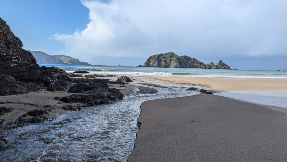 Photo d'un paysage de la Grande Barrière de Nouvelle-Zélande, montrant un estuaire se jetant dans la mer, avec des herbes au premier plan et des rochers