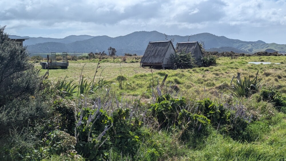 Photo de maisons (huts) dans les champs de l'île de la Grande Barrière