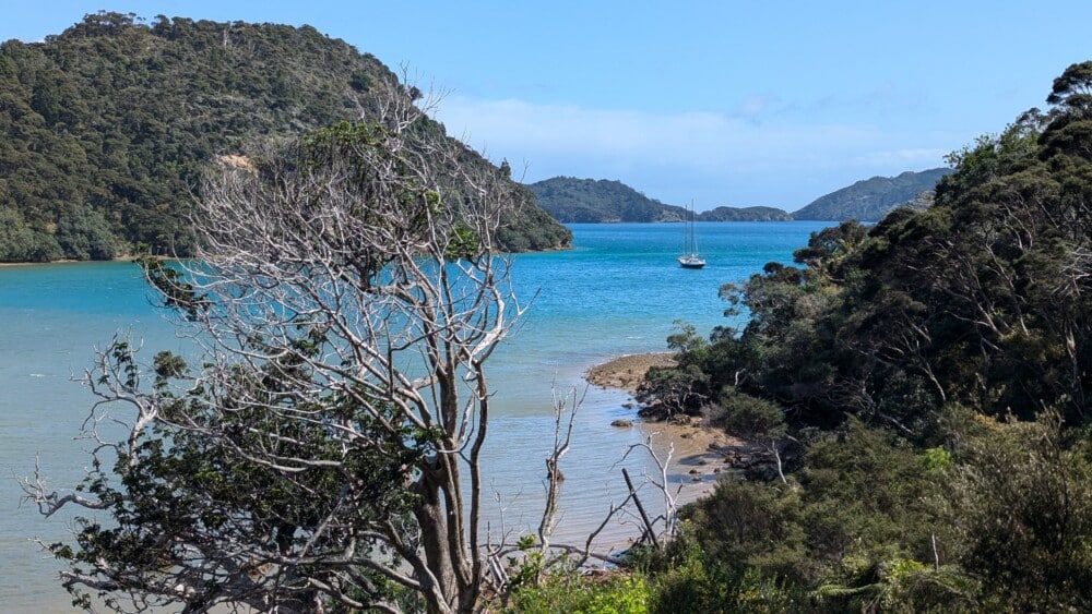 Photo d'une plage sur l'île de la Grande Barrière, avec une baie et un bateau au loin