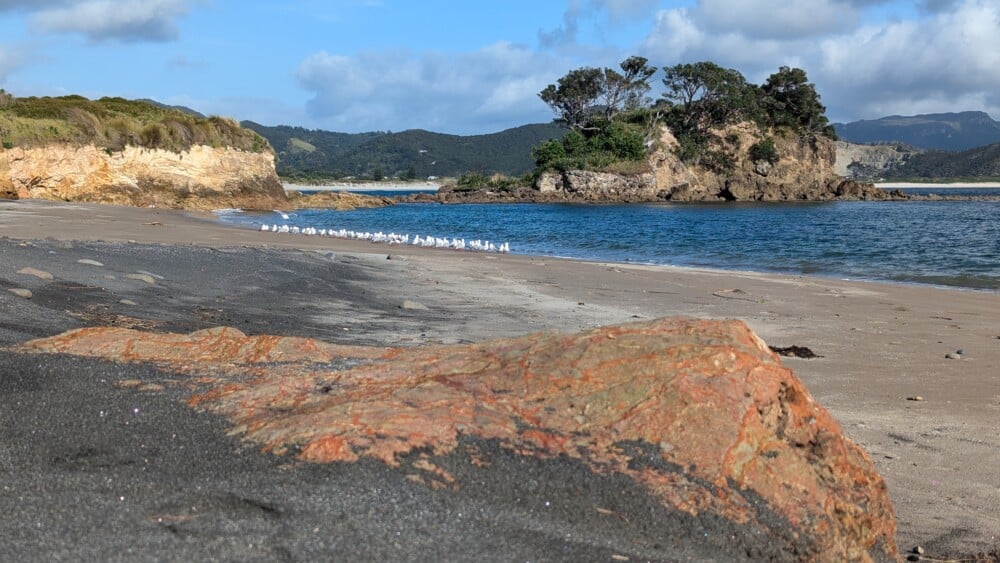 Photo d'un paysage de l'île de la Grande Barrière, avec des rochers, une mouette et un coucher de soleil