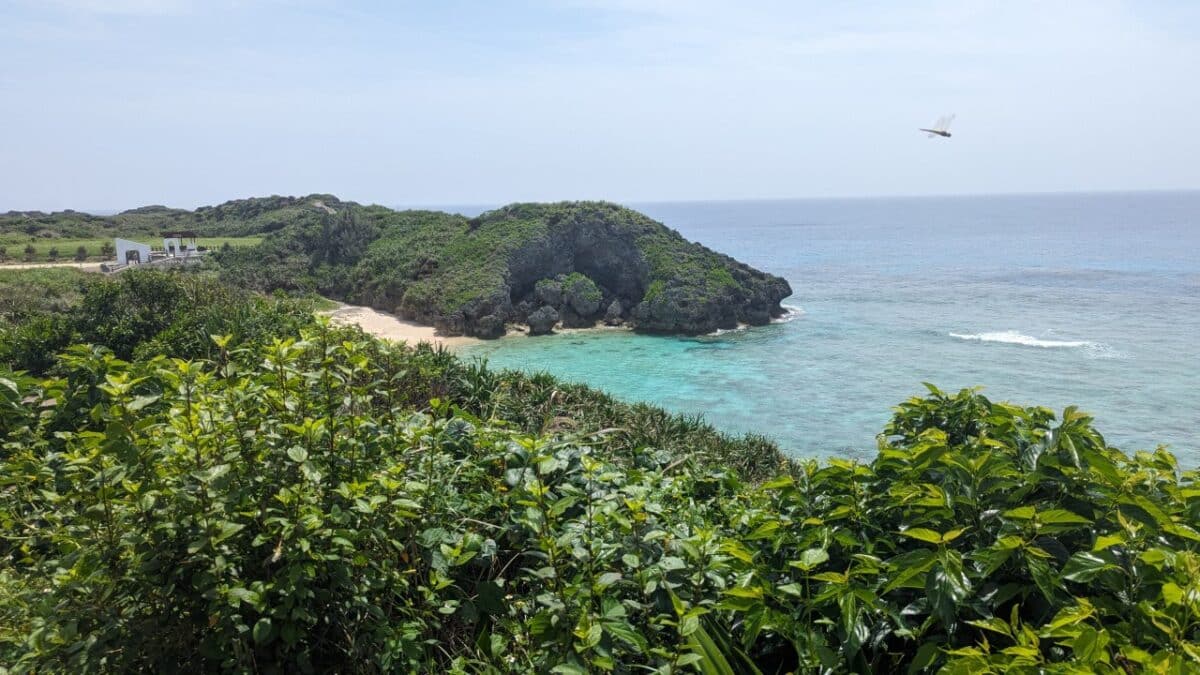 Plage et côte de Yoron Island, Japon, avec une libellule survolant le sable et la mer. Mer turquoise et ciel bleu encadrent la scène paisible