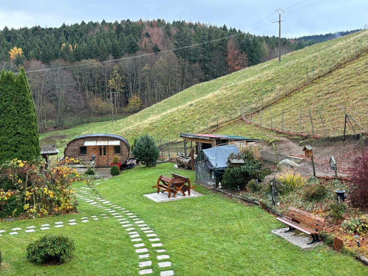 Tiny house au milieu d’un jardin aménagé, entourée de prairie et de forêt, lors des voyages de Fanny en Irlande et en Asie du Sud-Est. Illustration qui capture l’authenticité, la simplicité et la beauté des paysages ruraux