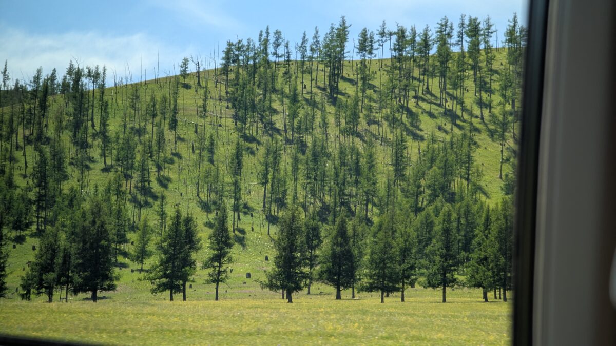 Vue depuis un train traversant une forêt en Mongolie. Paysage naturel visible à travers la fenêtre du wagon