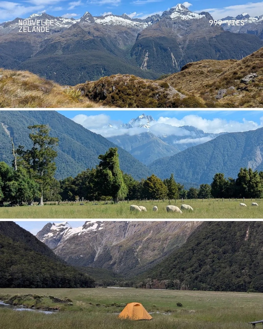 Triptyque de l’île du Sud en Nouvelle-Zélande : montagnes majestueuses, moutons dans les pâturages et tente en pleine nature. Trois scènes qui illustrent la diversité des paysages néo-zélandais