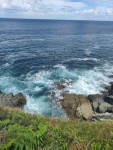 Paysage côtier sur le GR340 à Belle-Ile-en-Mer, France, montrant la mer, des rochers et la végétation environnante