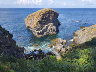 Paysage côtier à Belle-Ile-en-Mer, France, avec une vue sur la mer, des rochers et une végétation luxuriante