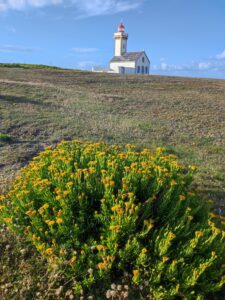 Phare sur la côte du GR340 à Belle-Ile-en-Mer, France