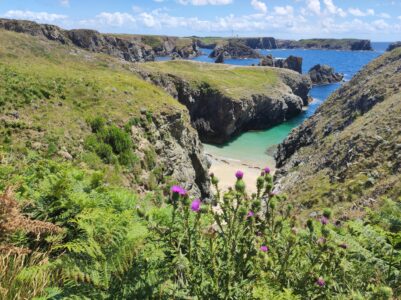 Paysage côtier à Belle-Ile-en-Mer, France avec vue sur la mer et les falaises