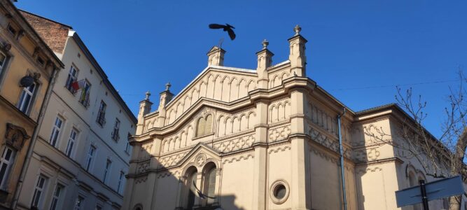 Photographie du Quartier Juif de Cracovie, présentant une synagogue sous un ciel bleu clair, avec un corbeau noir perché sur le toit
