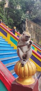 Guide : que faire à KL en 72H ?