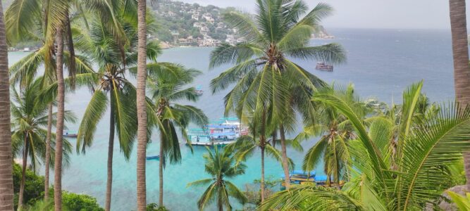 Photographie de palmiers à Koh Tao avec un bateau sur des eaux turquoise en arrière-plan