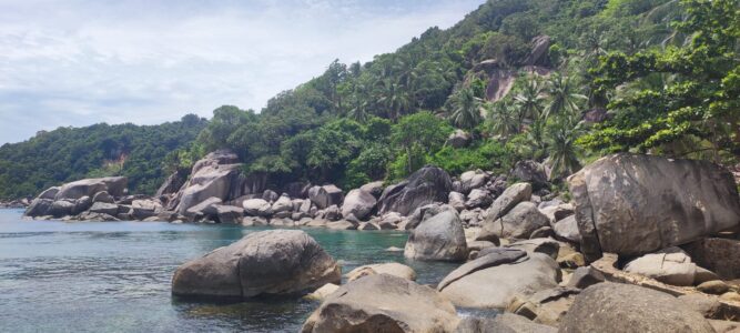 Plage de Koh Tao avec un rocher majestueux, des palmiers et des eaux turquoise