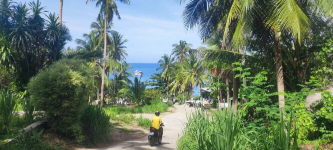 Un homme sur un scooter jaune, entouré de palmiers avec la mer en arrière-plan à Koh Tao