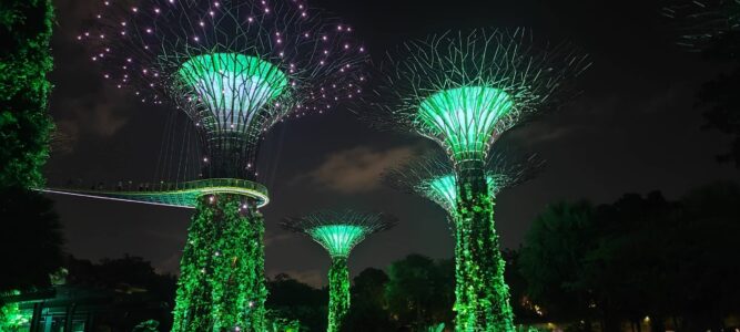 Photographie des Gardens by the Bay à Singapour de nuit, montrant des arbres futuristes illuminés en vert