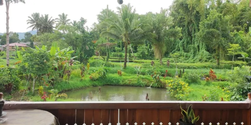 Que visiter à Tomohon ?