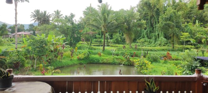 Que visiter à Tomohon ?