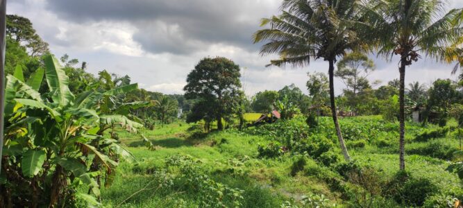 Que visiter à Tomohon ?