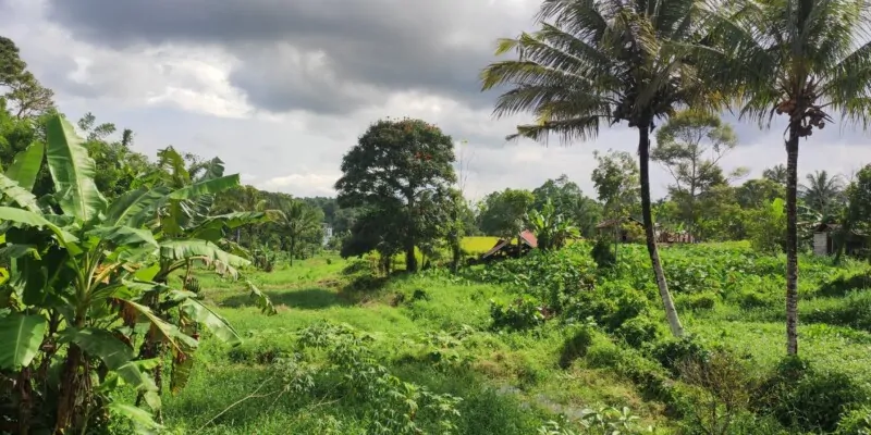 Que visiter à Tomohon ?