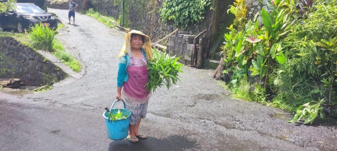 Reportage photo en Sulawesi, Indonésie
