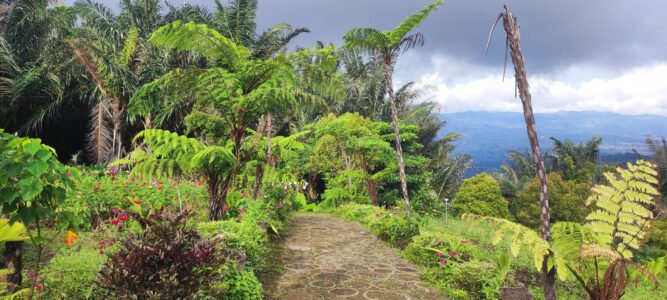 Destination Pays Minahasa, nord Sulawesi : Que visiter à Tomohon ?