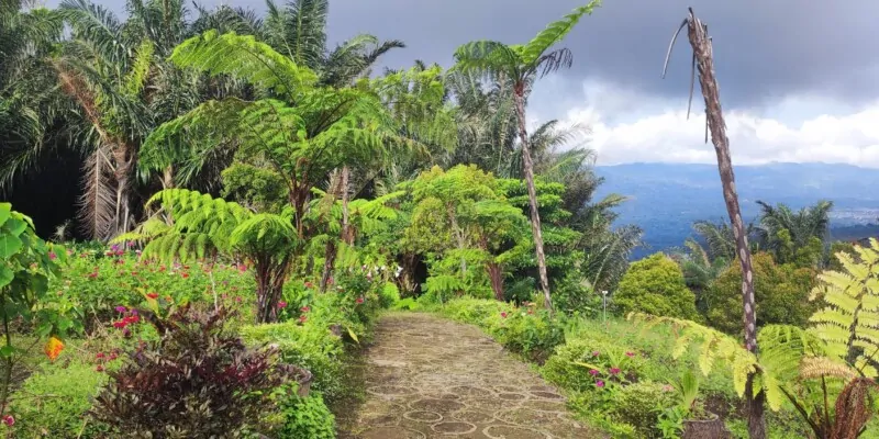 Destination Pays Minahasa, nord Sulawesi : Que visiter à Tomohon ?