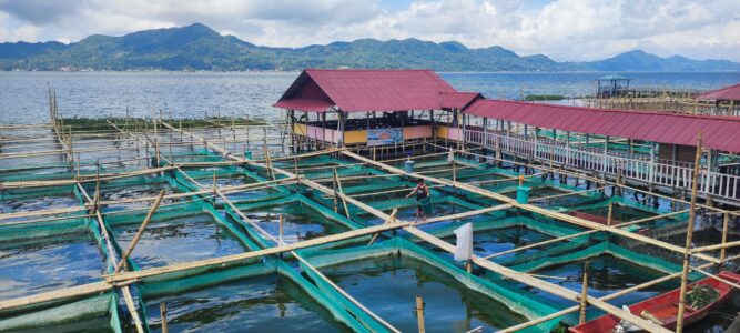 Destination Pays Minahasa, nord Sulawesi : Que visiter à Tomohon ?