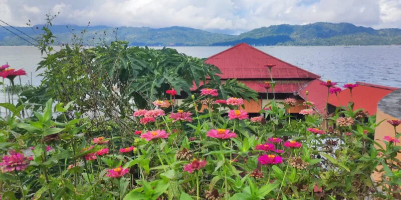 Destination Pays Minahasa, nord Sulawesi : Que visiter à Tomohon ?