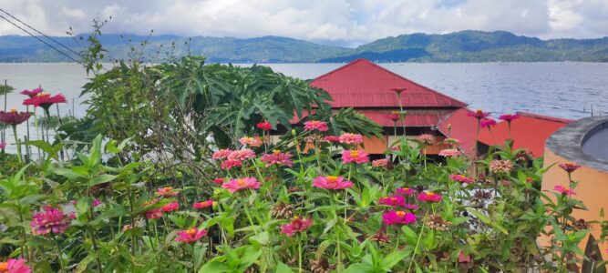 Destination Pays Minahasa, nord Sulawesi : Que visiter à Tomohon ?