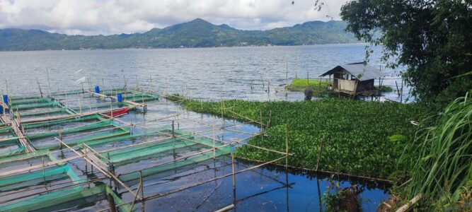 Destination Pays Minahasa, nord Sulawesi : Que visiter à Tomohon ?
