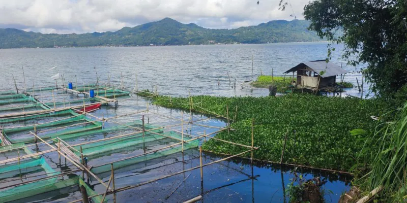 Destination Pays Minahasa, nord Sulawesi : Que visiter à Tomohon ?
