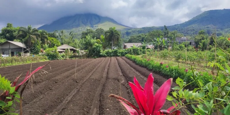 Destination Pays Minahasa, nord Sulawesi : Que visiter à Tomohon ?