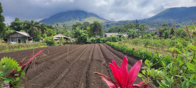 Destination Pays Minahasa, nord Sulawesi : Que visiter à Tomohon ?
