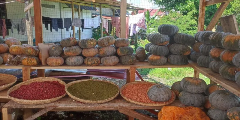 Destination Pays Minahasa, nord Sulawesi : Que visiter à Tomohon ?