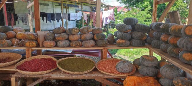 Destination Pays Minahasa, nord Sulawesi : Que visiter à Tomohon ?