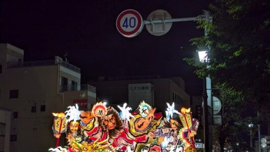 Photographie pendant 2 jours de festival : Scènes locales, chars, défilés & Feux d'Artifice