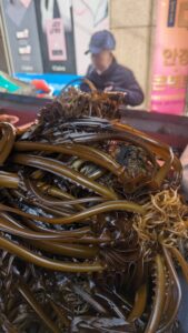 Reportage photo en mode foodie dans la ville de Busan en Corée du sud
