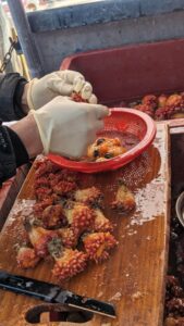 Reportage photo en mode foodie dans la ville de Busan en Corée du sud