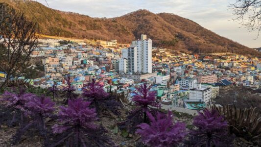 Rubrique photo : le village culturel de Gamcheon dans la ville de Busan
