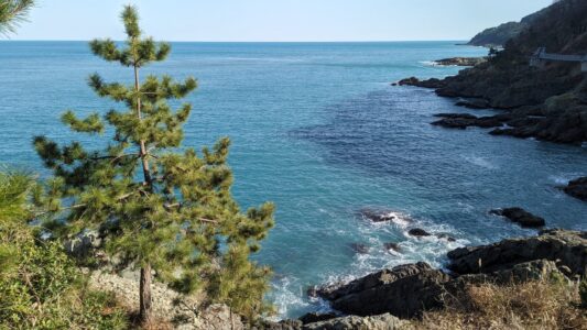 Découvrir le géo parc Igidae dans la ville de Busan en Corée du sud