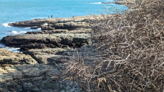 Découvrir le géo parc Igidae dans la ville de Busan en Corée du sud