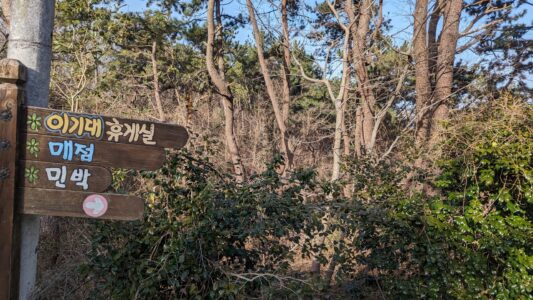 Découvrir le géo parc Igidae dans la ville de Busan en Corée du sud