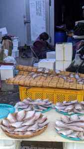Explorer et photographier le marché de Jagalchi à Busan