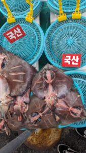 Explorer et photographier le marché de Jagalchi à Busan